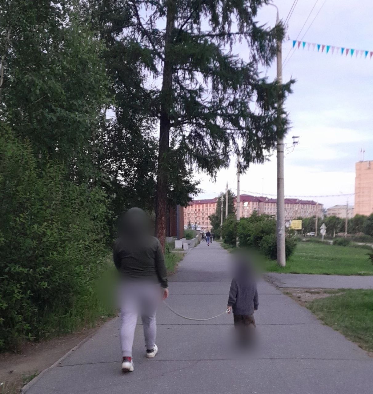 Фото В одном из городов Бурятии мать вела ребенка на поводке