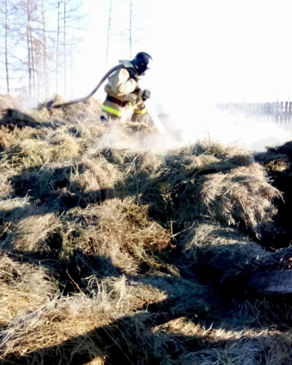 Фото В Бурятии из-за детской шалости сгорели 20 центнеров сена