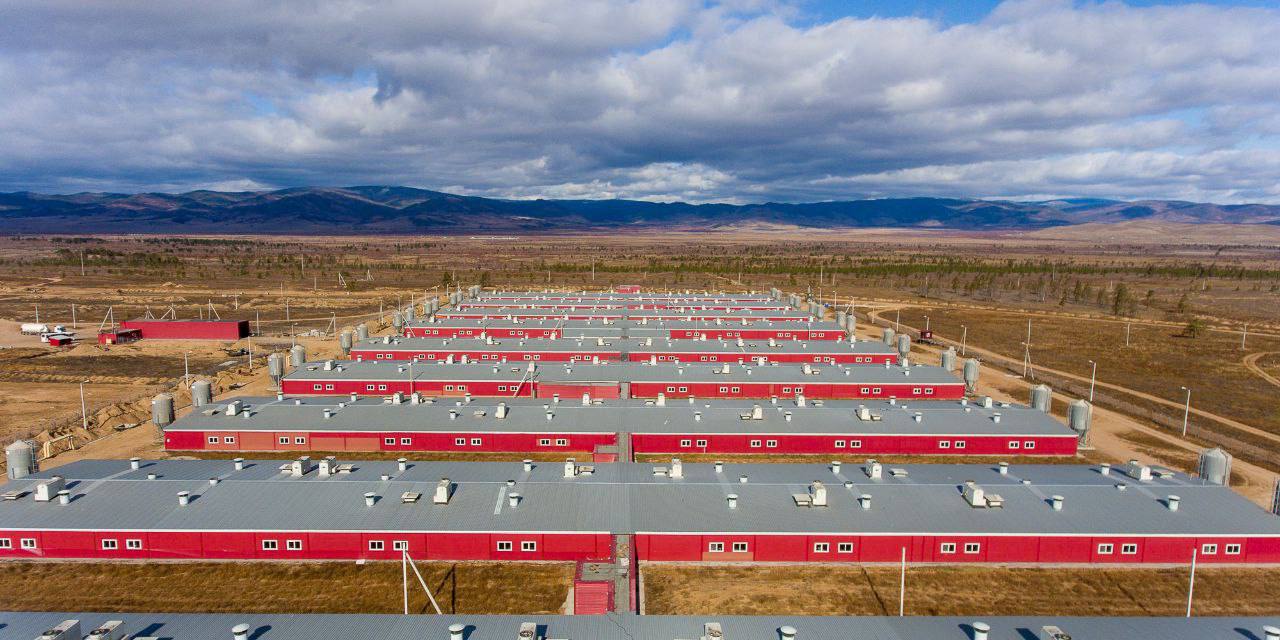 Фото Восточно-сибирский свинокомплекс «Сибагро» – победитель Всероссийской премии «Агролидер»