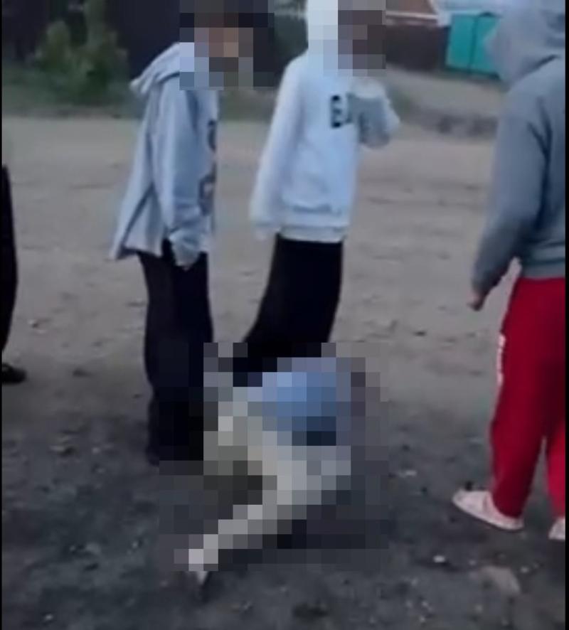 Фото В Бурятии осуждены девушки-подростки, избившие и ограбившие сверстников