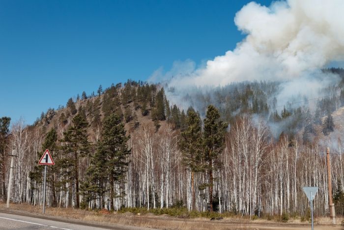 Фото В Бурятии тушат лесной пожар