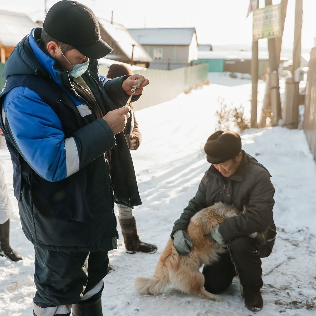 Фото Жителям Улан-Удэ предлагают вакцинировать животных на дому и бесплатно