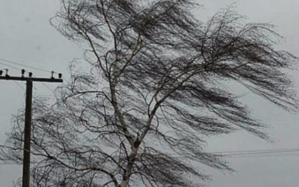 Фото В Бурятии объявлено штормовое предупреждение 