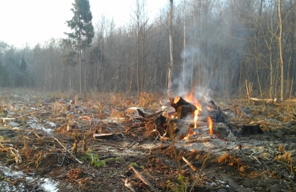 Фото Первый лесной пожар в Бурятии произошел из-за поджога
