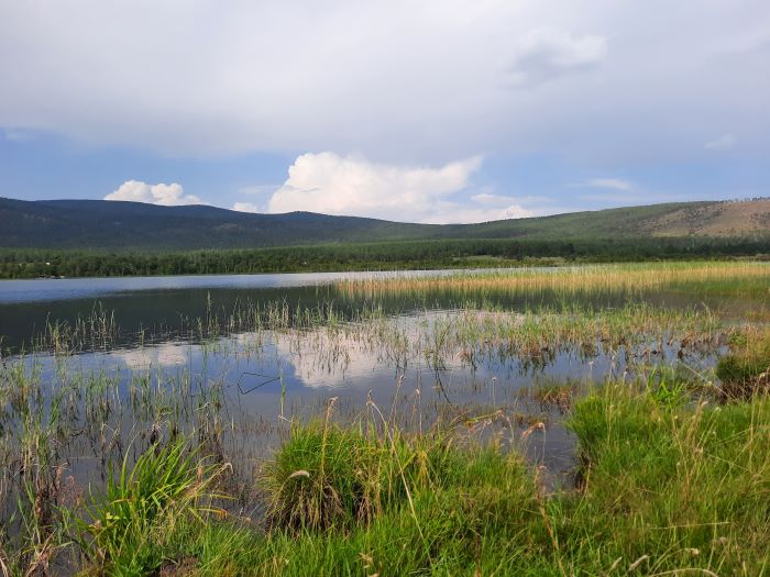 Фото Улан-удэнец призвал видного ученого Бурятии заняться проблемами Карасиного озера 