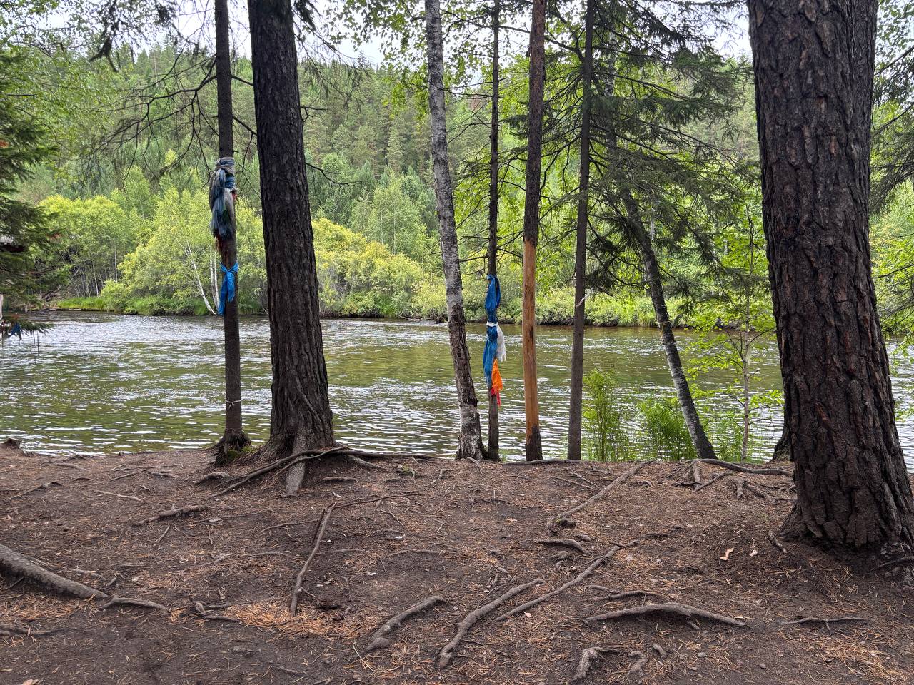 Фото В Бурятии проводят дистанционный мониторинг лесов