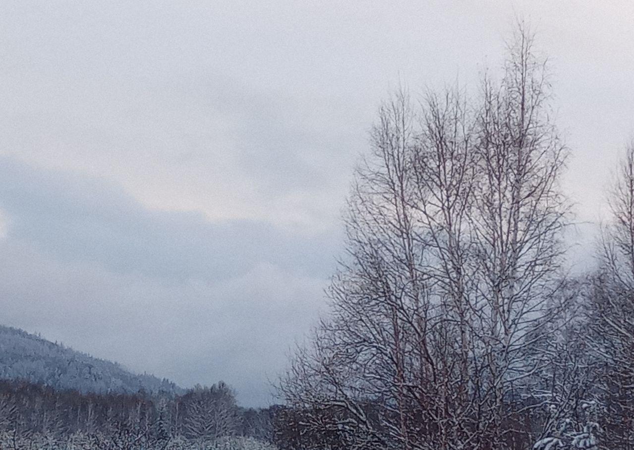 Фото Погода в Бурятии 12 ноября 2022 года