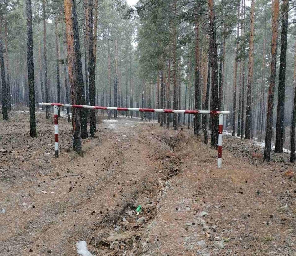 Фото В лесах Улан-Удэ установят 60 шлагбаумов
