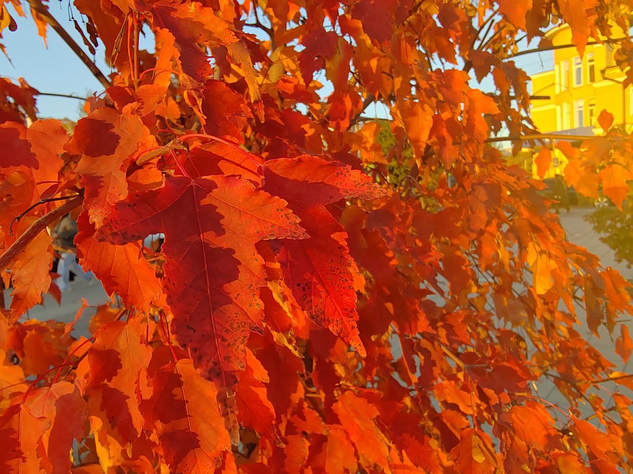 Фото В Госдуму поступил законопроект об ужесточении наказания за поджоги 