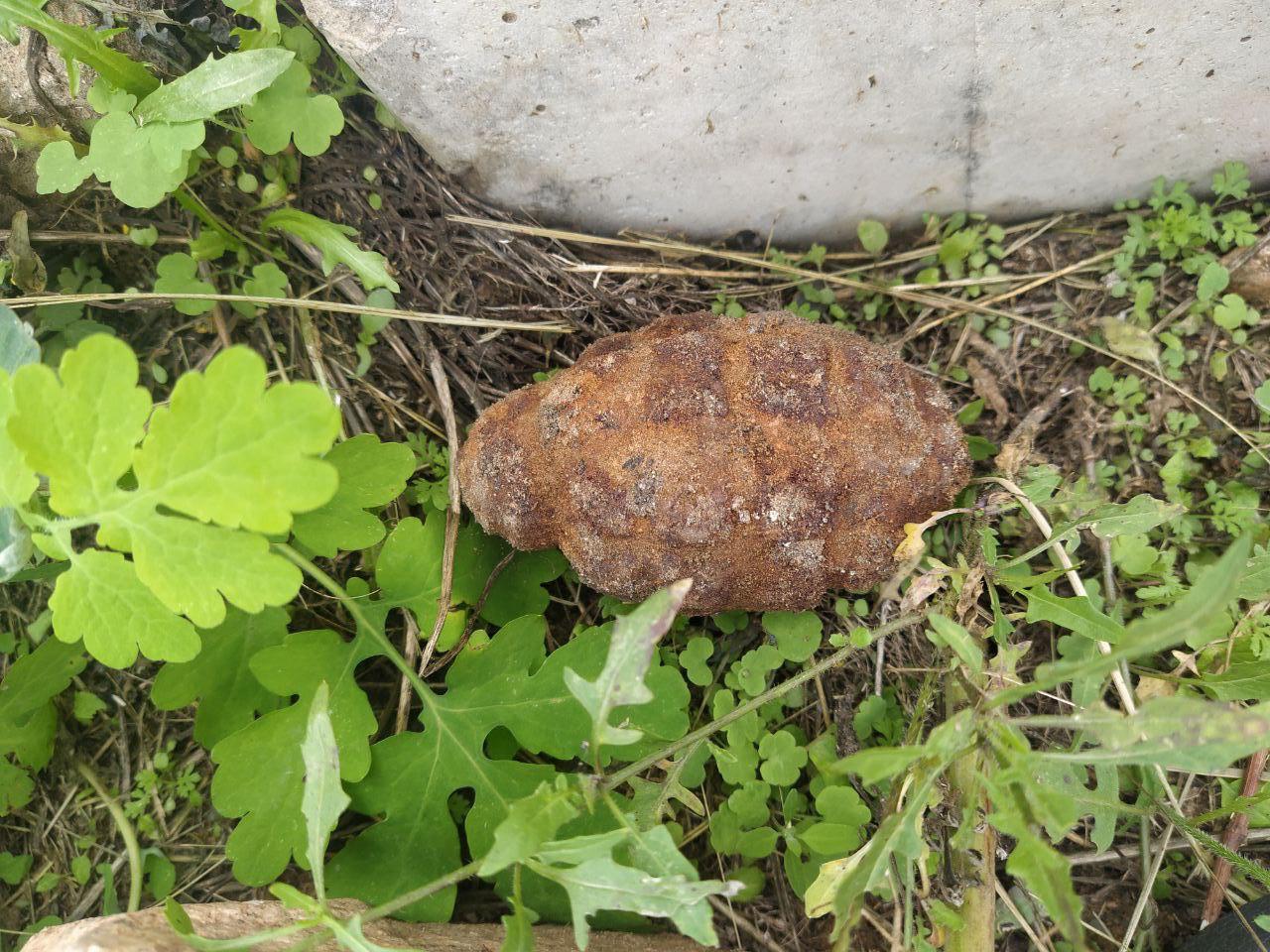 Фото Рядом с жилым домом в Улан-Удэ обнаружили заржавевшую гранату