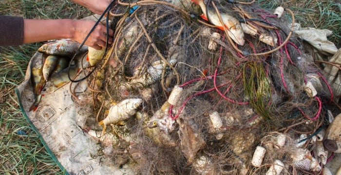 Фото В Бурятии рыбак попался в собственные сети и погиб