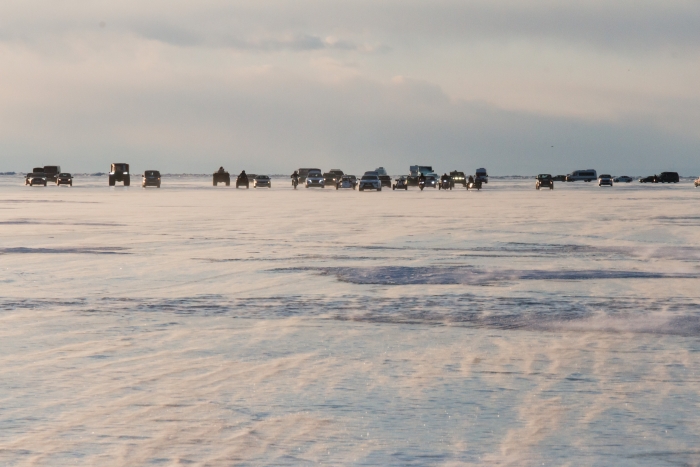 Фото Проснулись медведи: жителей Бурятии предупреждают быть осторожными 