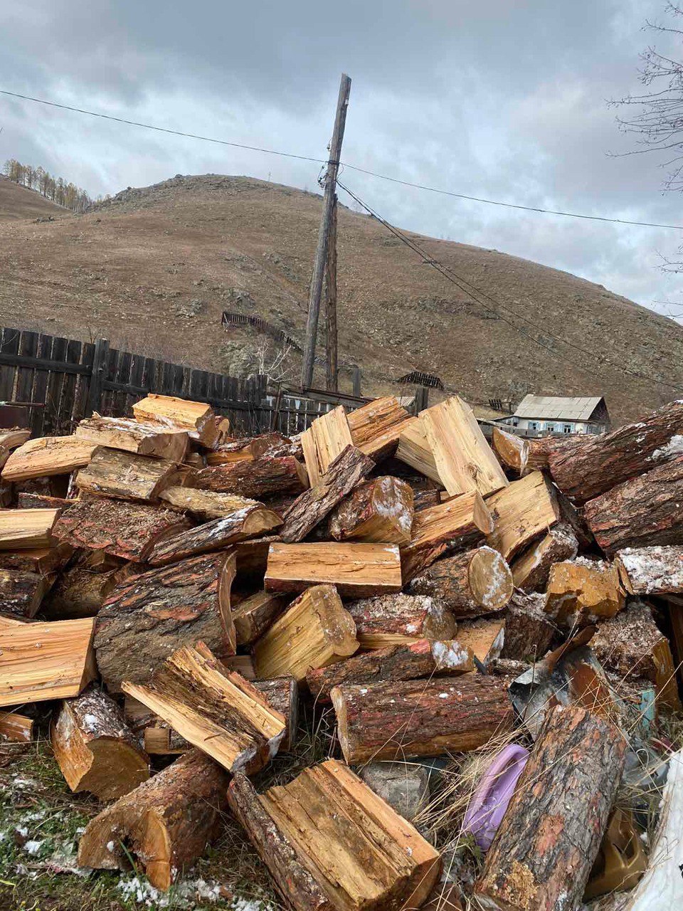 Фото В Бурятии семьям мобилизованных начались первые поставки дров
