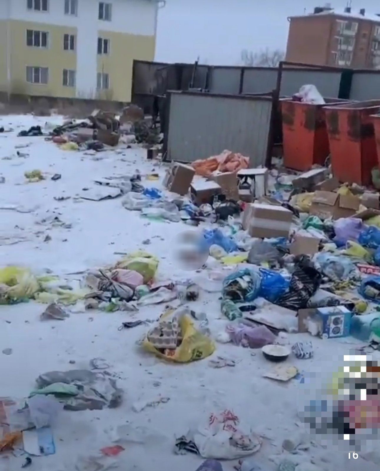 Жители Гусиноозерска в Бурятии не могут подойти к мусорным бакам