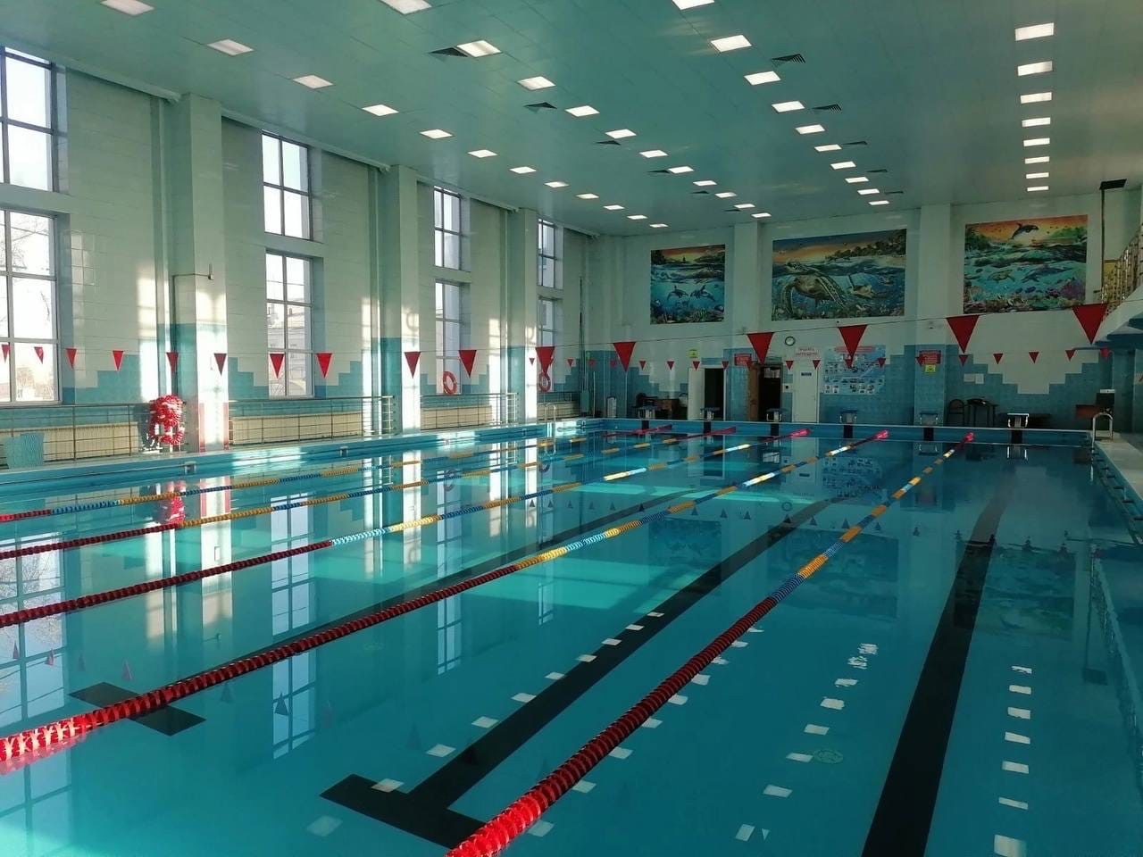Фото В Улан-Удэ состоится турнир по плаванию