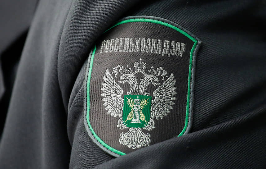 Фото В Бурятии Россельхознадзор проверил свинокомплекс «Восточно-Сибирский» 