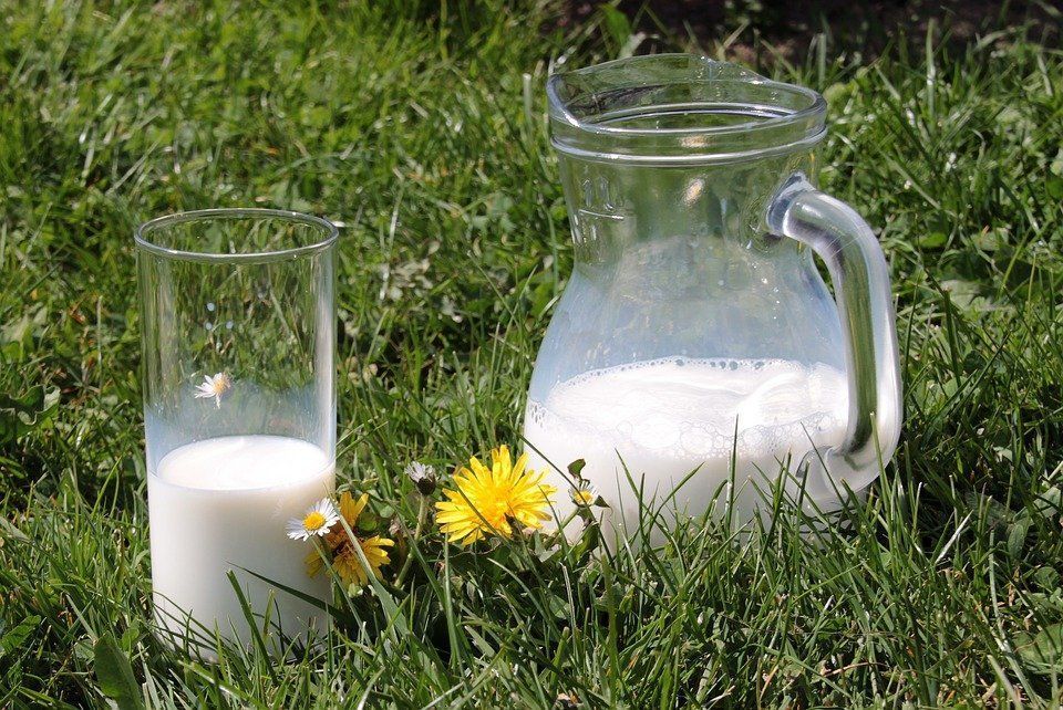 Фото Молоко – один из главных продуктов Бурятии (ФОТО)