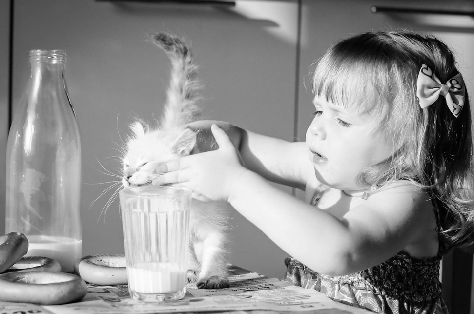 Фото В Иркутске 5-летняя девочка ночью пошла за молоком
