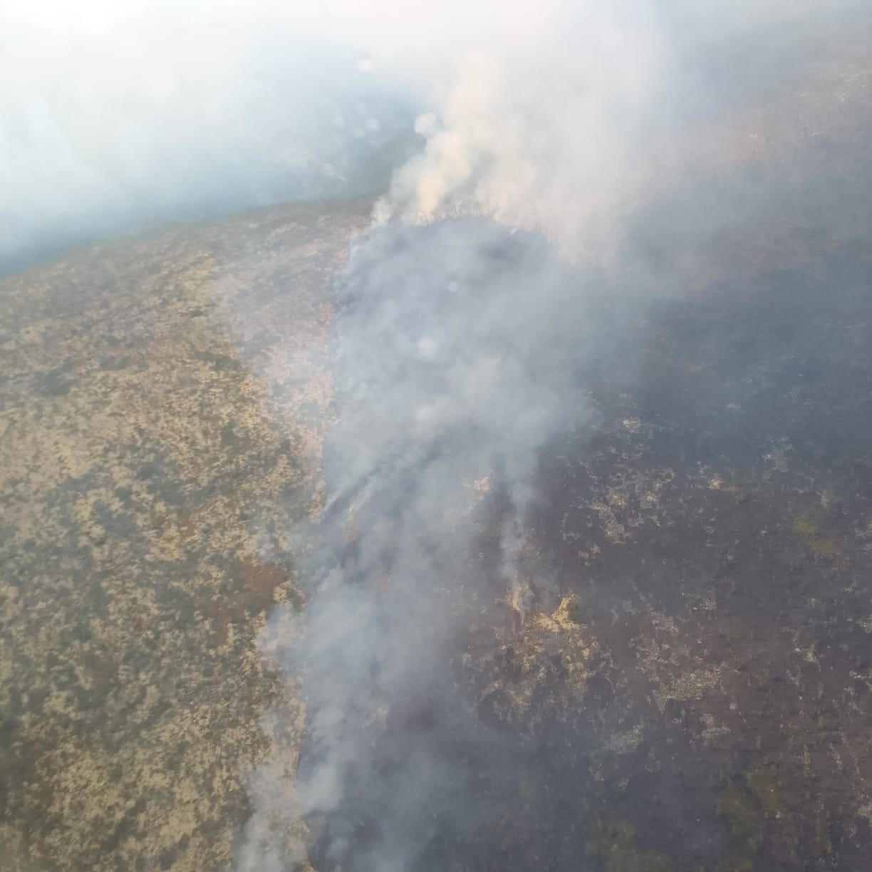 Фото В районе Бурятии огнеборцы схватились со сложным пожаром