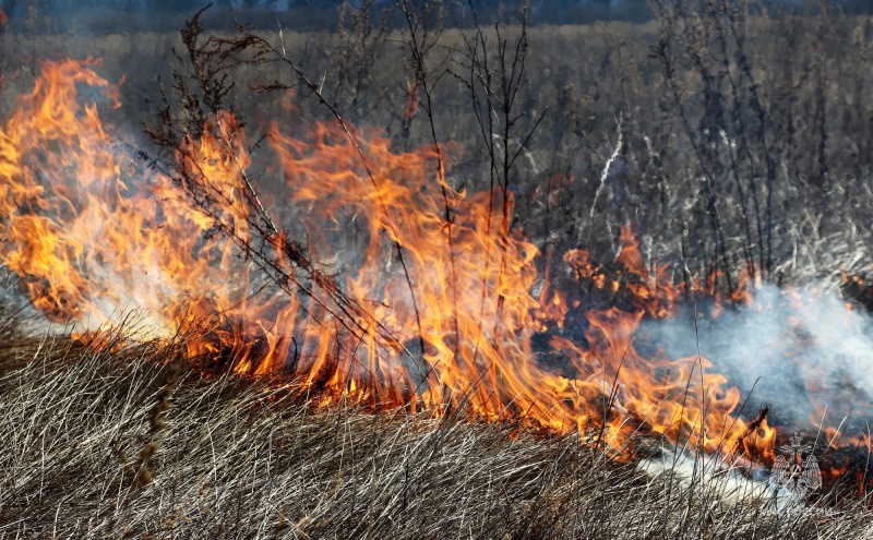 Фото Житель Бурятии сжигал сухую траву на могилах родственников паяльной лампой