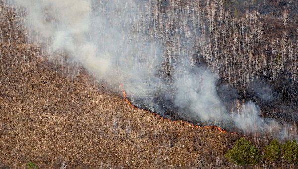 Фото В Бурятии с начала пожароопасного периода зарегистрировано семь лесных пожаров