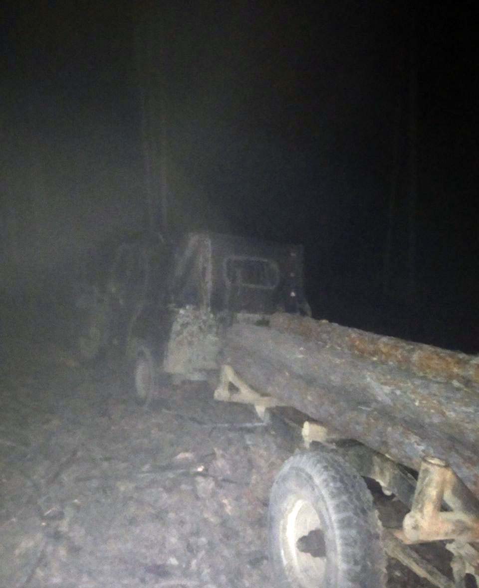 Фото В Бурятии задержали находчивых «черных» лесорубов