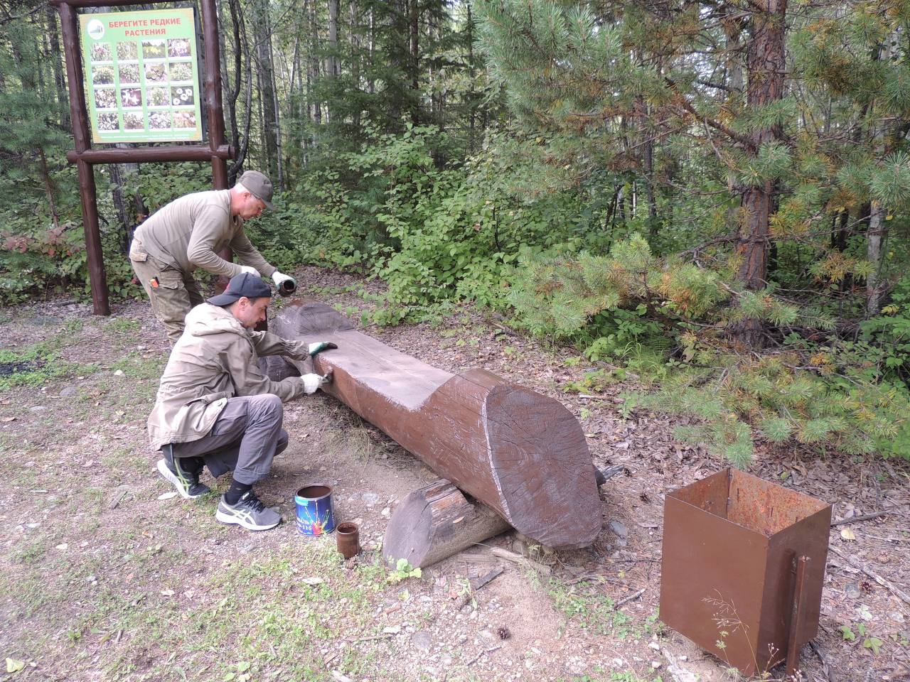 Фото В Тункинский нацпарк Бурятии съедутся волонтеры со всей страны