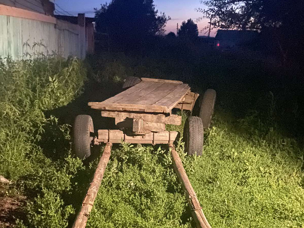 Фото В Бурятии 13-летняя девочка выпала из гужевой повозки
