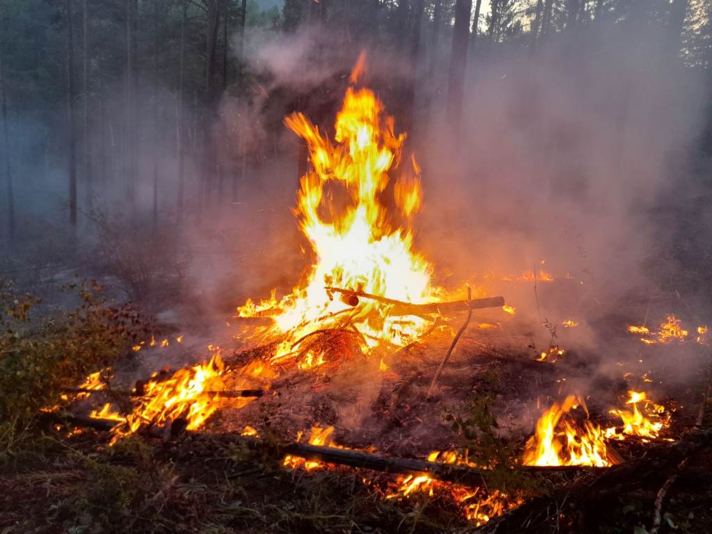 Фото В Бурятии потушили 5 лесных пожаров