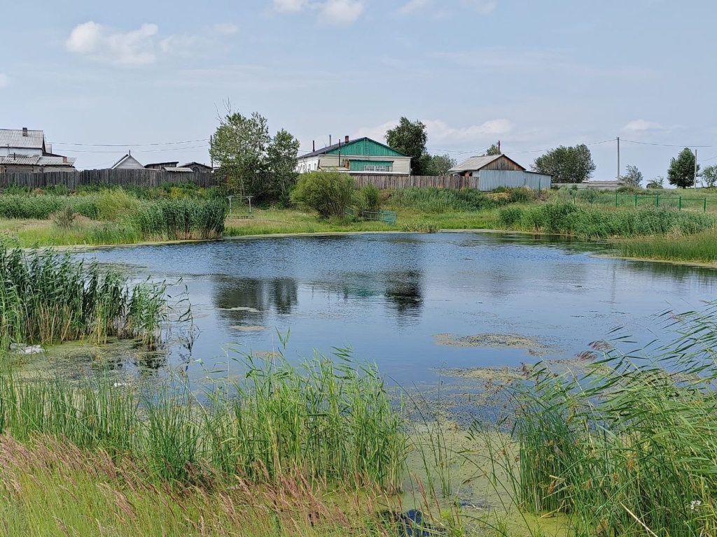 В Улан-Удэ найден поселок, где живут самые лучшие люди | 15.07.2024 |  Новости Улан-Удэ - БезФормата