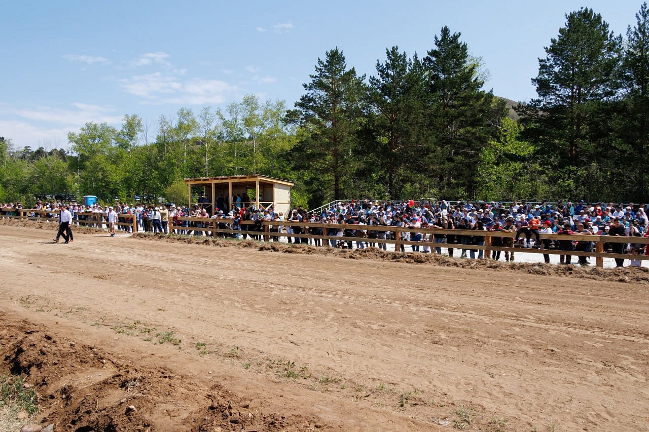 В Улан-Удэ на городском ипподроме открыли скаковой сезон | 25.05.2024 |  Новости Улан-Удэ - БезФормата